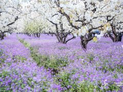-江苏三台山国家森林公园