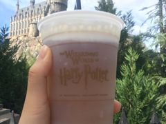 -奥兰多环球影城