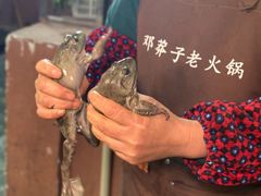 -邓莽子老火锅(中兴路总店)