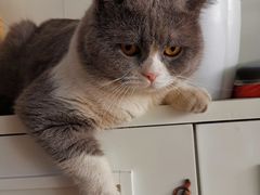 -麦当劳(金平路站店)