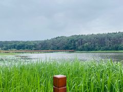 -长春净月潭风景名胜区