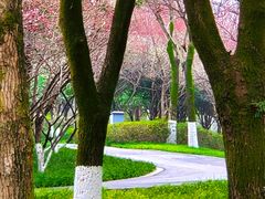 -重庆中央公园(渝北区)