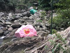 -龙湾潭国家森林公园