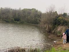 -盘龙城国家考古遗址公园