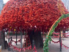 -郑州方特梦幻王国