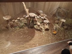-唆了蜜团建·趣味沉浸式剧情·蹦床轰趴运动拓展基地(天津旗舰店)