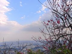 -杭州半山国家森林公园