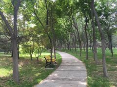 -森林公园(尖草坪区)