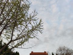 -戏马台景区