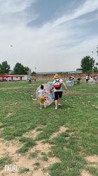 -上美四季动物农场