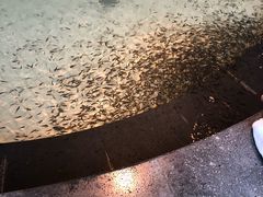 -盘锦红海温泉乐园