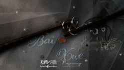 -美薇亭婚礼顾问