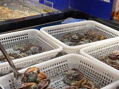 -亚马逊海鲜自助(梅溪湖步步高店)