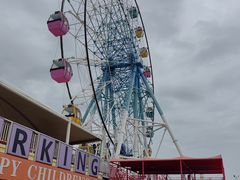 -巨鹏飞梦幻海岸