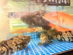 -闽海肴(北辰荟店)