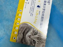 -瑞派·爱瑞可动物医院·口腔专科(广华新城分院)