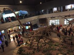 -自贡恐龙博物馆