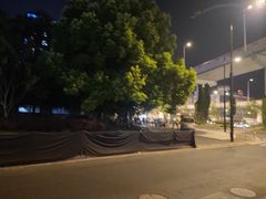 -新疆阿力烧烤