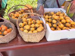 -塘栖枇杷特色园区