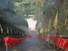 -姑婆山旅游区