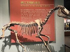 -齐齐哈尔市博物馆