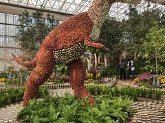 -沈阳植物园