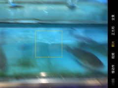 -金龙渔港(双楠店)