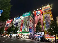 -秋叶原电器街