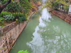 -枫桥景区