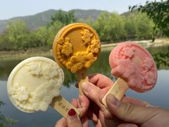 -北京植物园南门售票处