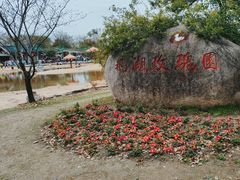 -鹅湖玫瑰文化园