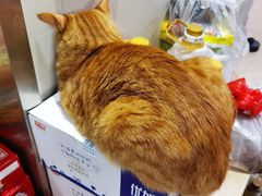 -玉华饮食店(茅台路店)