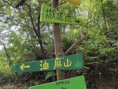 -黄埔油麻山森林公园