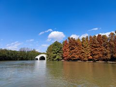 -上海海湾国家森林公园