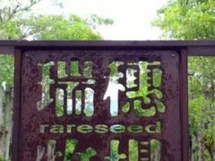 -瑞穗牧场