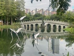 -四海公园(南山区)