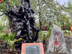 -大槐树寻根祭祖园
