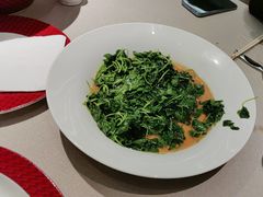 -圆苑(静安寺店)
