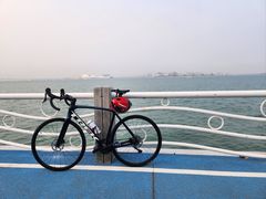 -五缘湾湿地公园