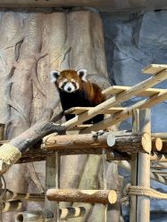 -Zoolung Zoolung动物主题公园(海信广场店)