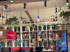 -老佛爷炭火蛙锅直营(清滨路总店)