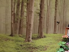-理療君·古法推拿•姜疗•SPA馆(东门店)