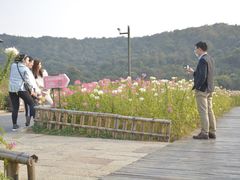 -熙盛源(滨湖万达店)