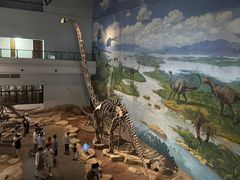 -自贡恐龙博物馆