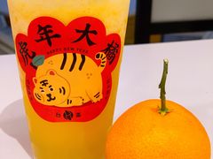 -台盖(群星城店)