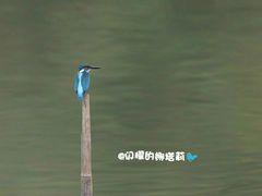 -南国桃园旅游度假区