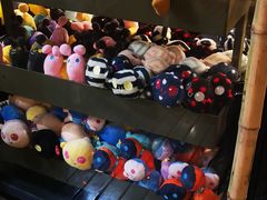 -莓园冰淇淋店