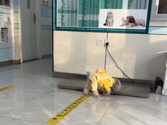 -中农国际动物医院24小时·猫科·骨科·急重症中心