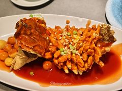 -姑苏家宴·苏帮菜·松鼠桂鱼(苏州总店)