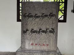 -上海醉白池公园